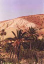 région de Meknès au Maroc